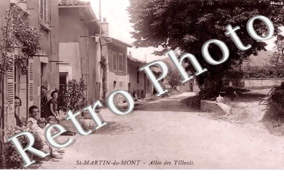 allée des Tilleuls