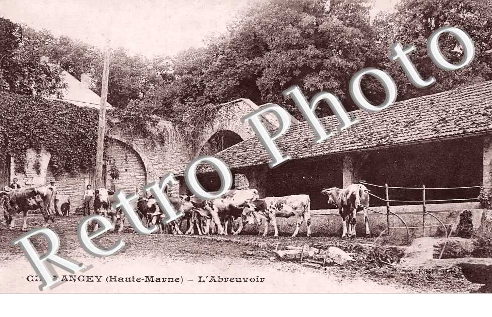 l&#039;abreuvoir