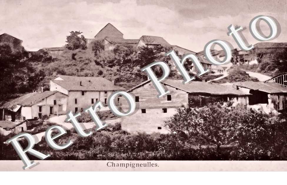 vue générale
