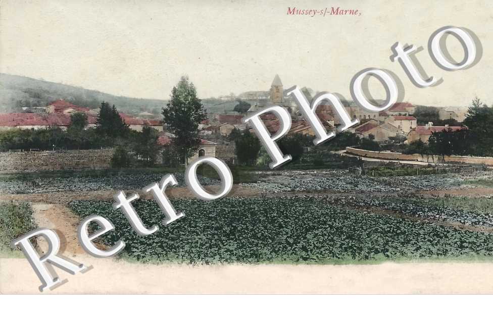 vue générale