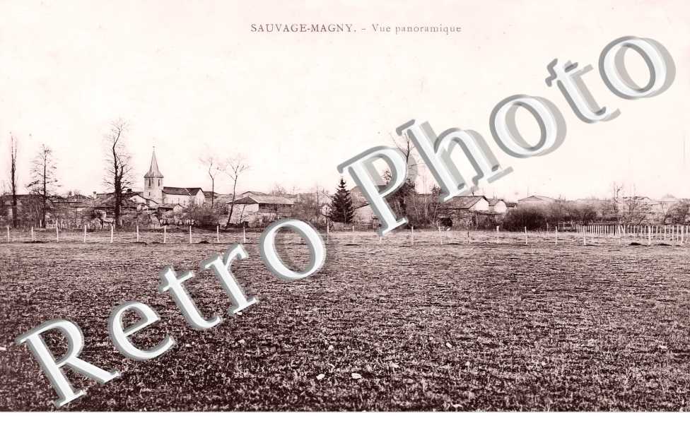 vue panoramique