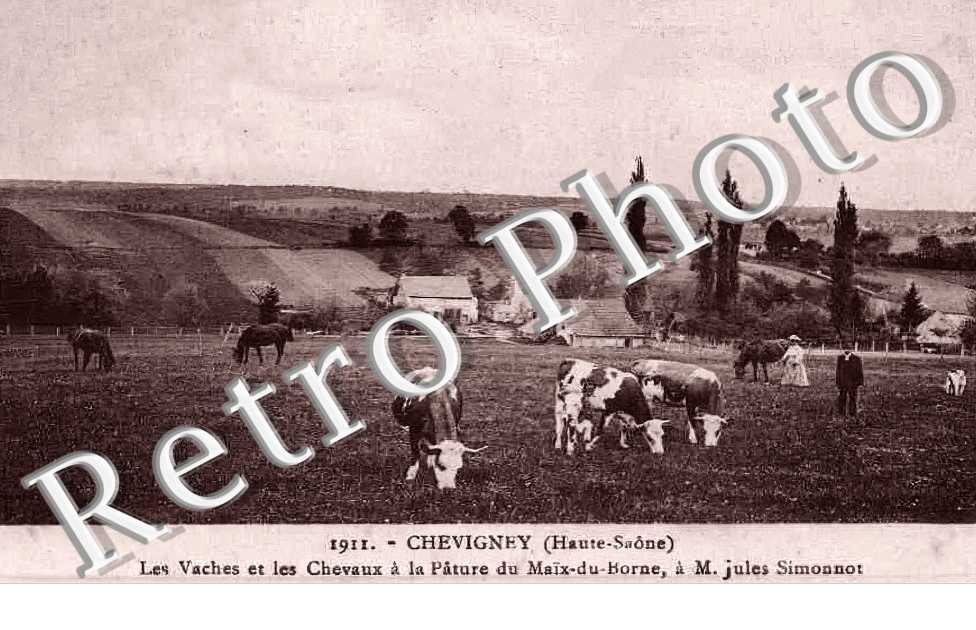 Pâture de Maïx-du-Borne, à M. Jules Simonnot