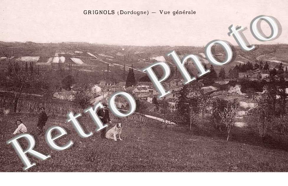 vue générale