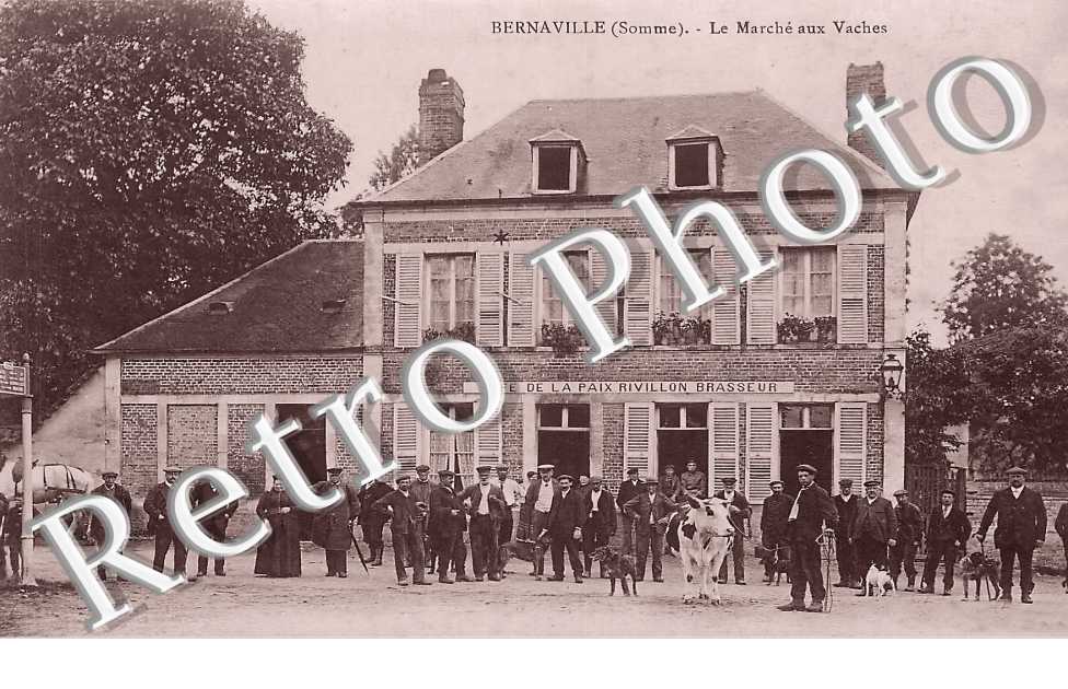 le marché aux vaches