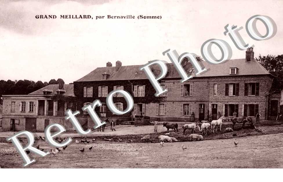 Grand Meillard