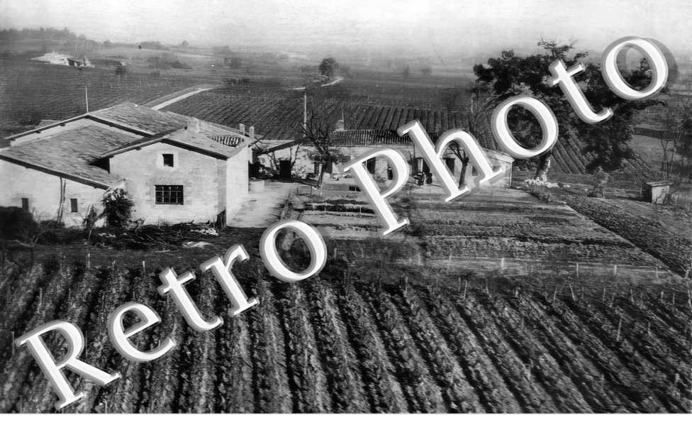Domaine du Pin