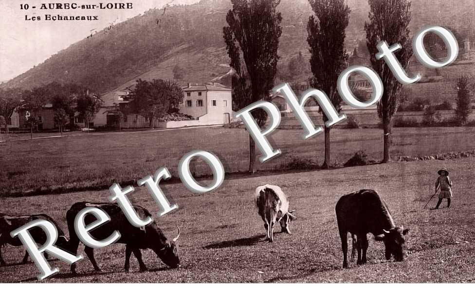 les Echaneaux