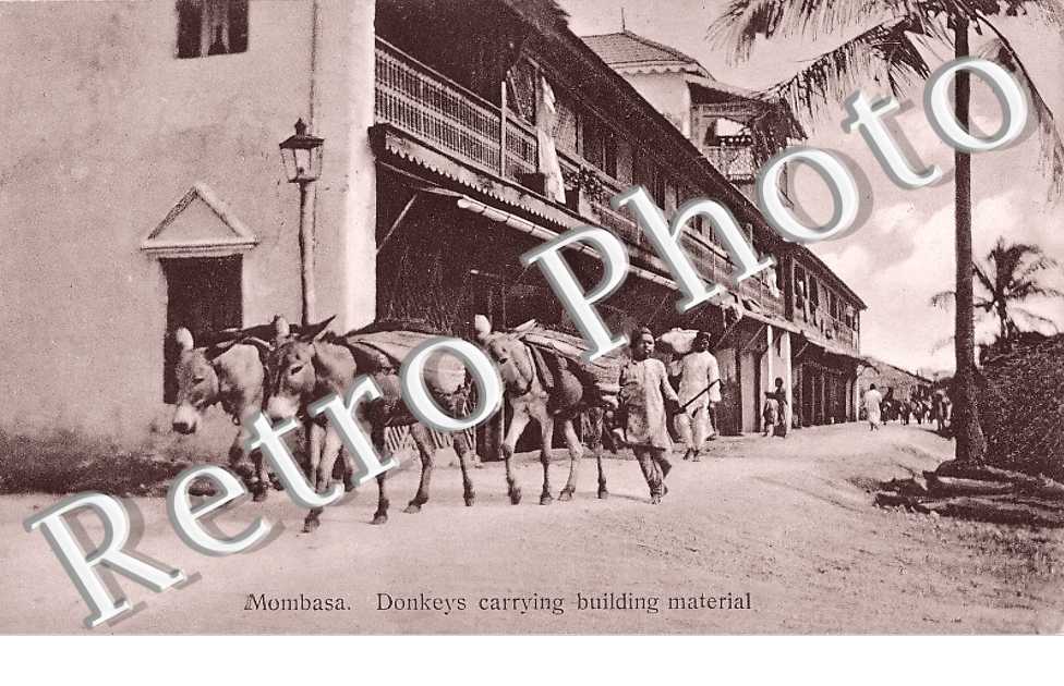 Donkeys acrrying building material