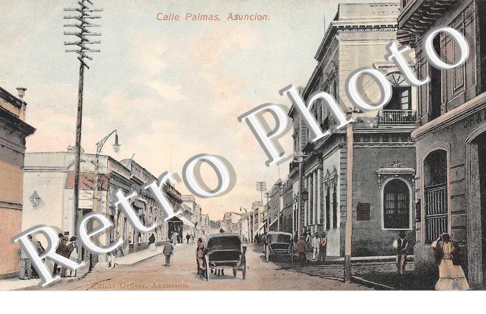 Calle Palmas