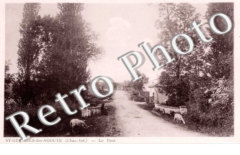 le pont
