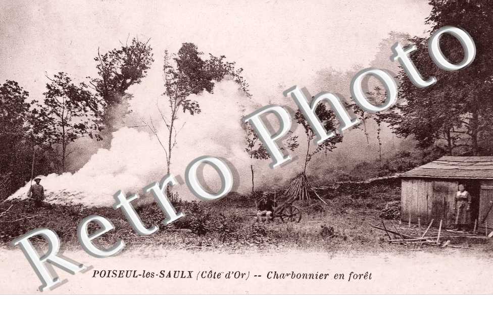 charbonnier en forêt