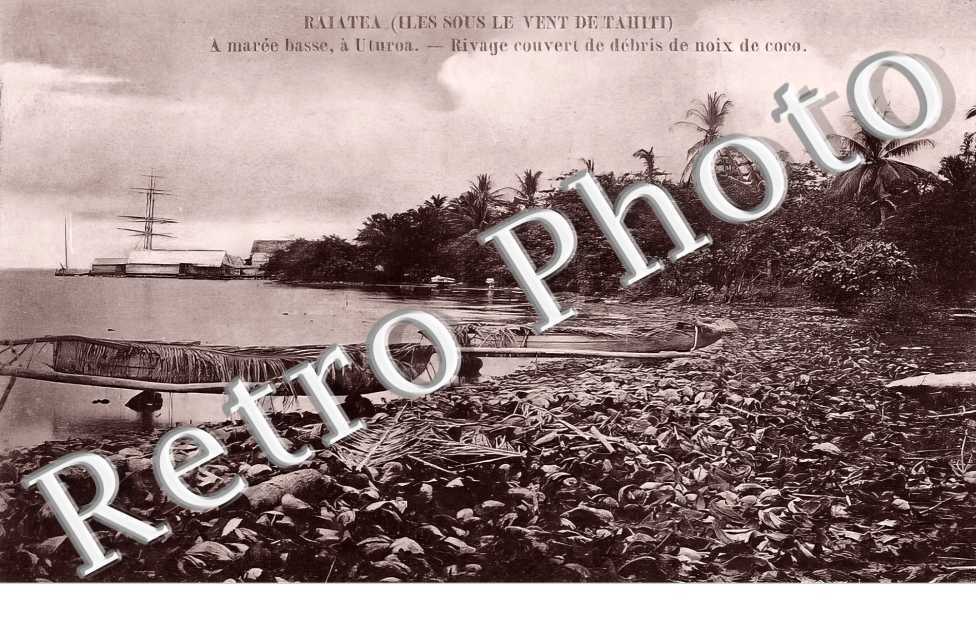 Rivage couvert de débris de noix de coco
