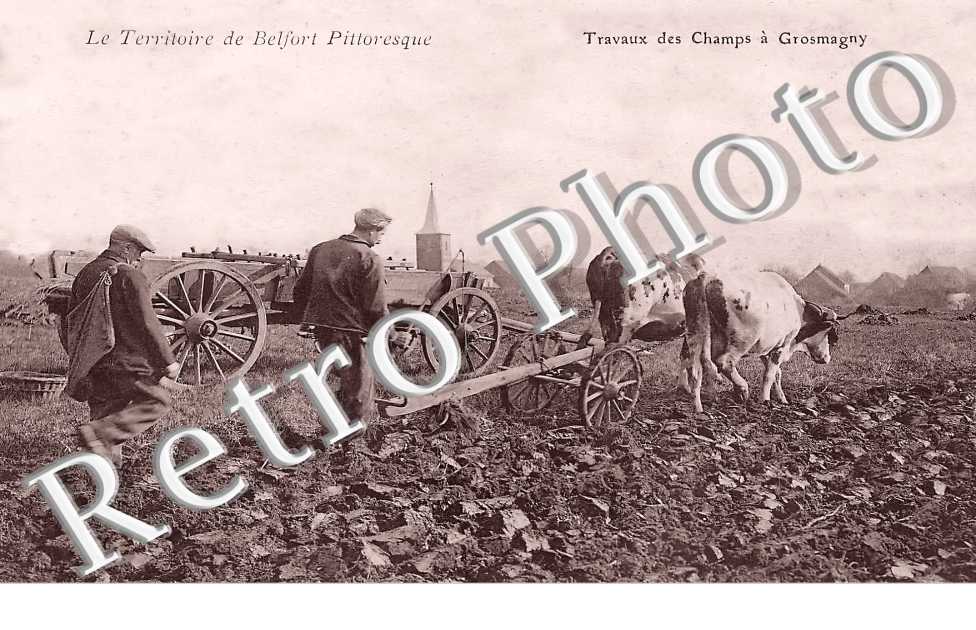 travaux des champs