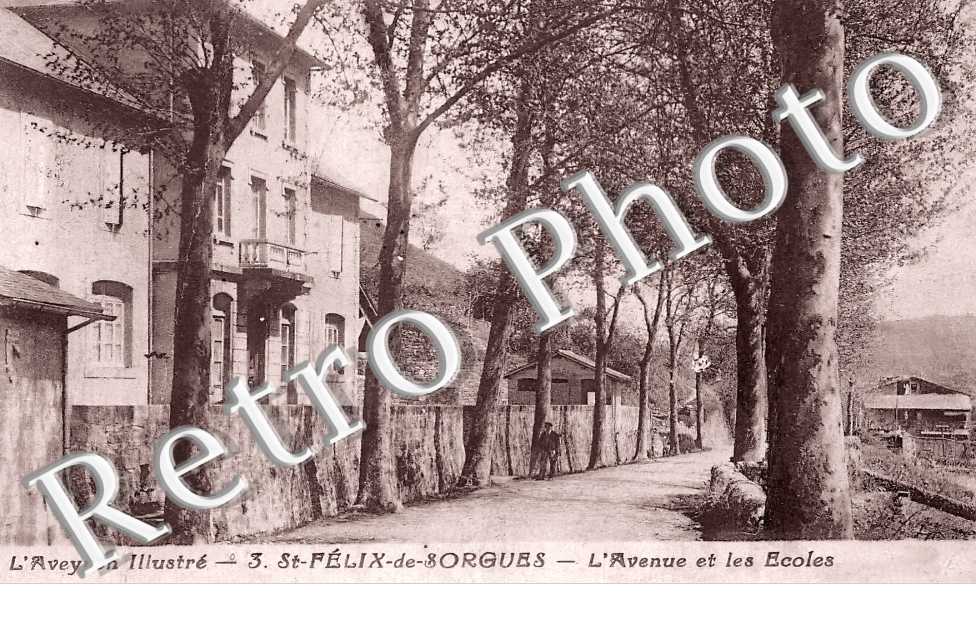 l&#039;avenue et les écoles