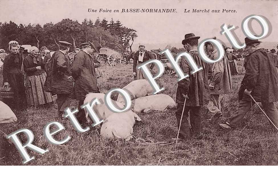 le marché aux porcs