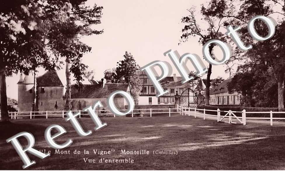 Le mont de la Vigne
