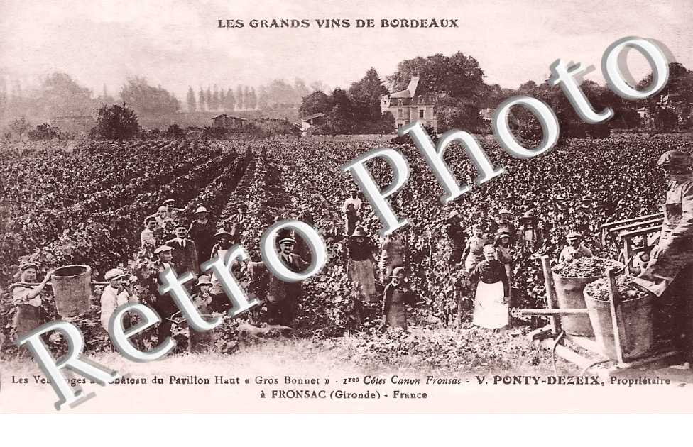 Les vendanges au château du Pavillon Haut " Gros Bonnet " V. Ponty-Dezeix propriétaire
