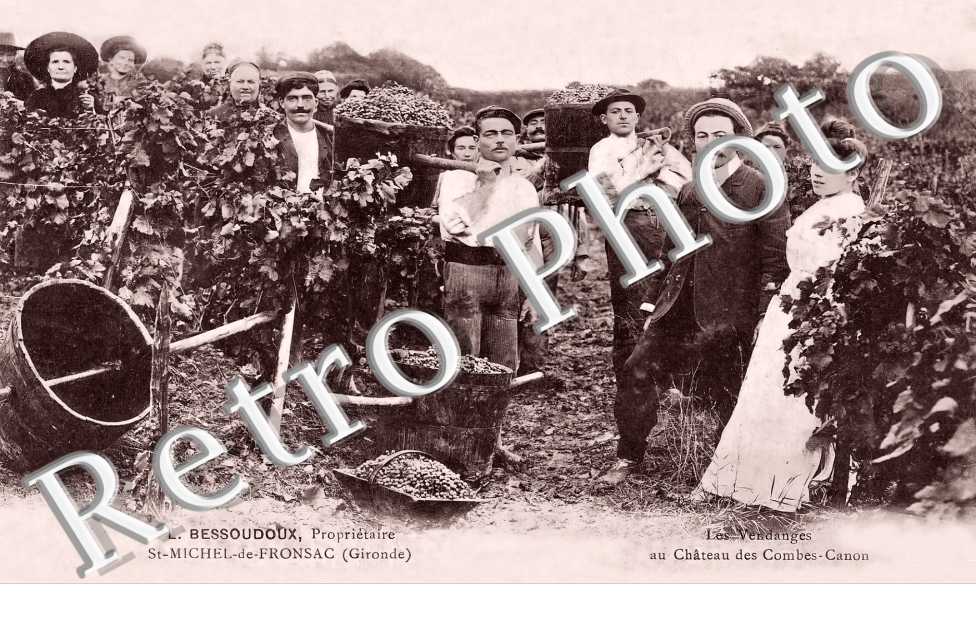L. Bessoudoux, propriétaire Saint-Michel-de-Fronsac. Les vendanges au château des Combes-Canon