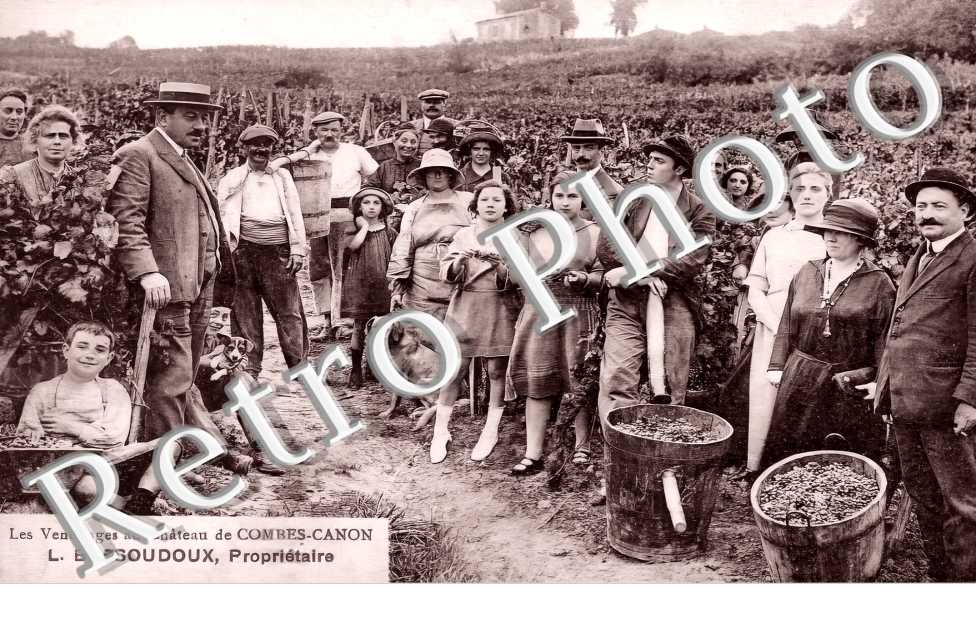 les vendanges au Château de Combes-Canon  L. Bessoudoux Propriétaire
