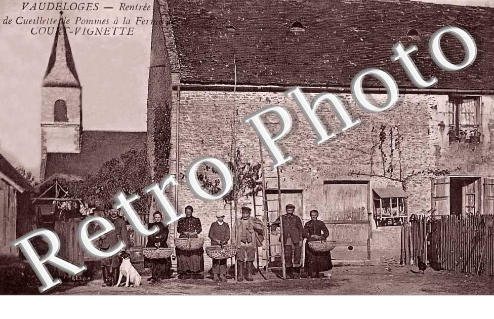Rentrée de Cueillette de pommes à la ferme COURT-VIGNETTE