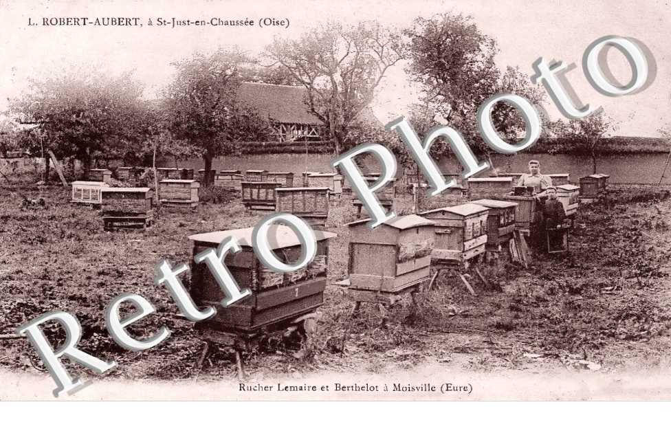 Rucher Lemaire et Berthelot