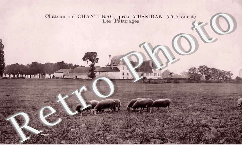 Château