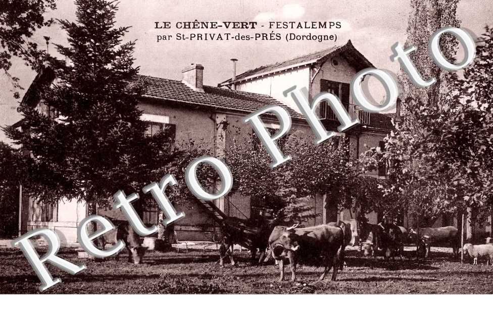 Le Chêne-Vert