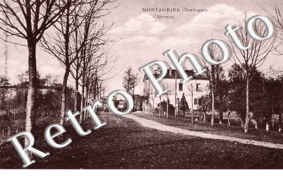 l&#039;avenue