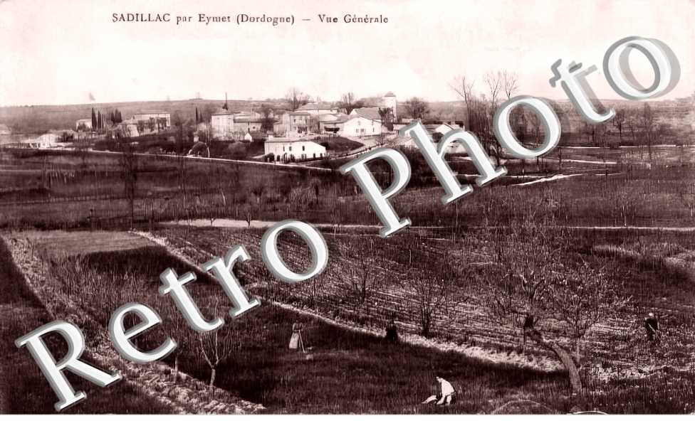 vue générale