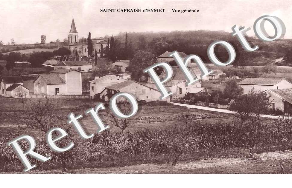 vue générale