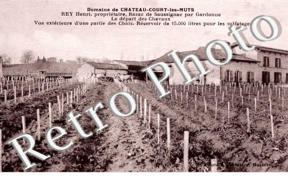 domaine du château-Court-les-Muts. REY Henri propriétaire. Le départ des chevaux