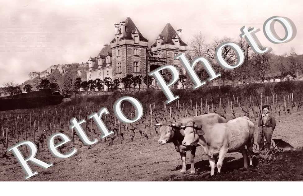Château de Monrecours 