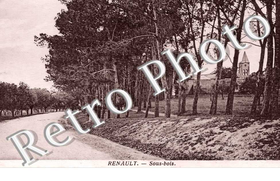 Sous-bois