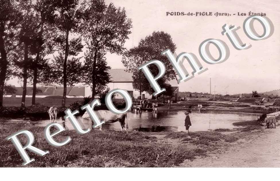 les étangs