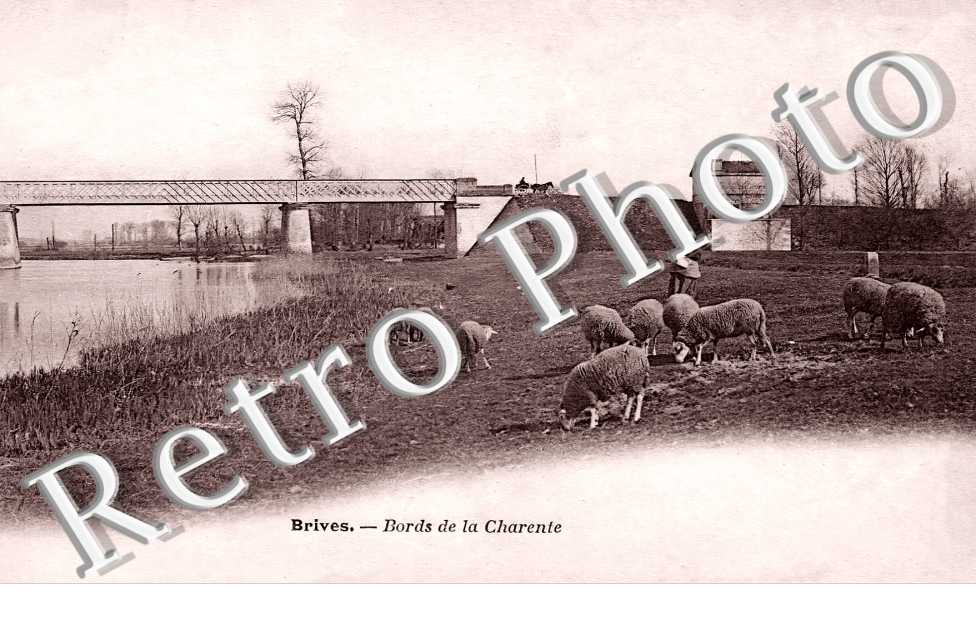 Bords de la Charente