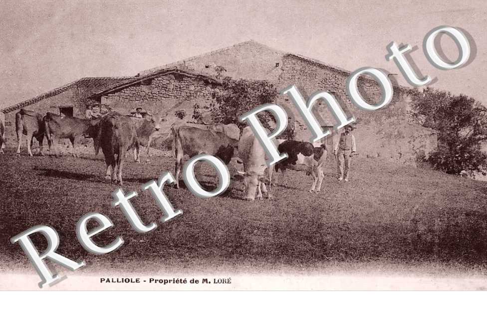 Propriété de M. Loré