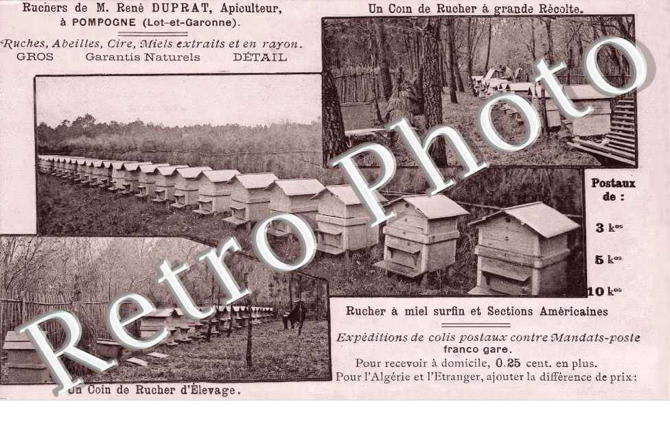 Ruchers de M. René Duprat, Apiculteur