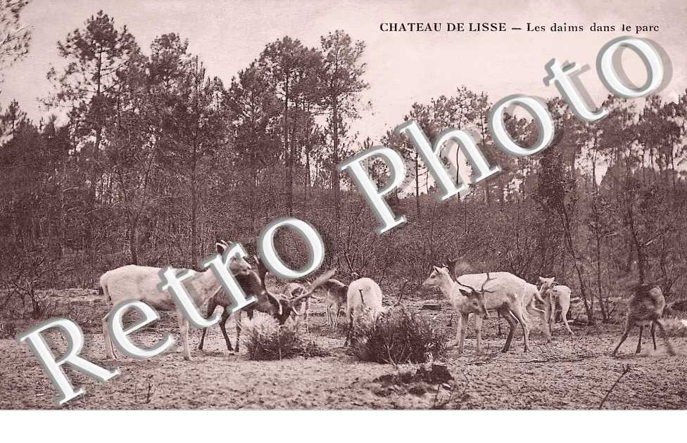 chateau de Lisse