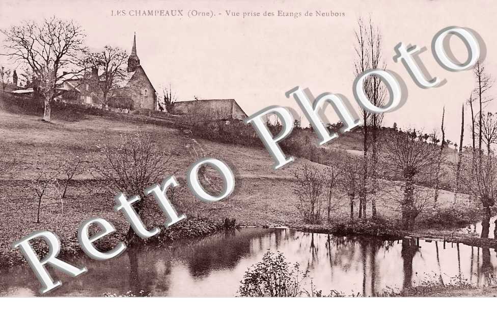 vue prise des Etangs de Neubois