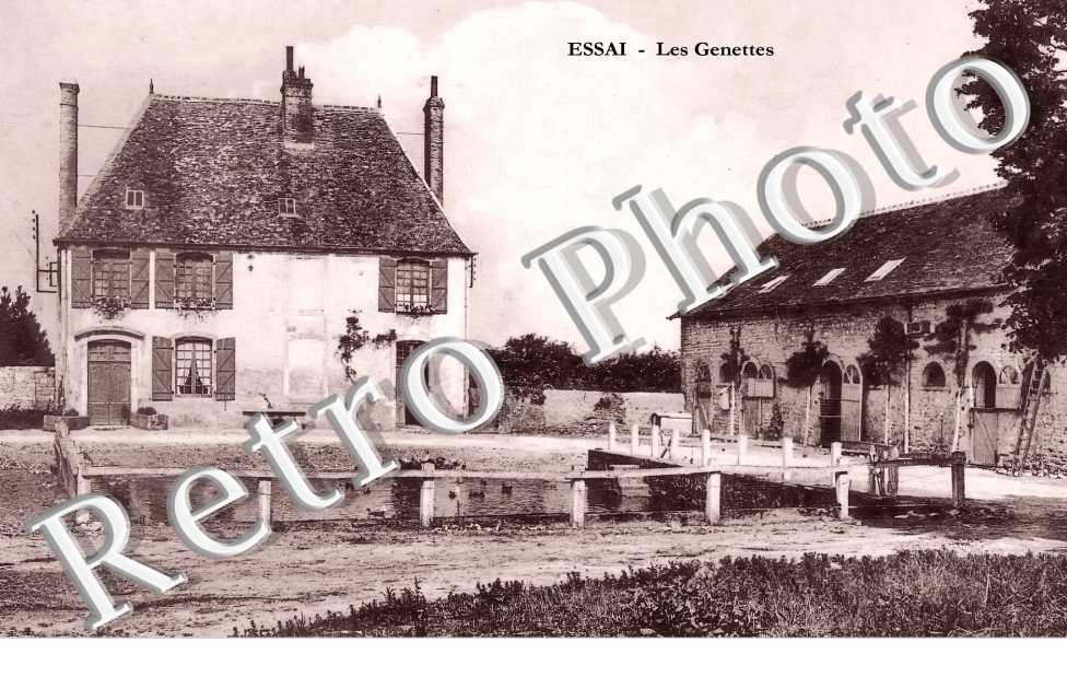 les Genettes