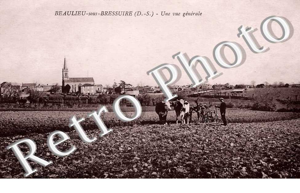 une vue générale