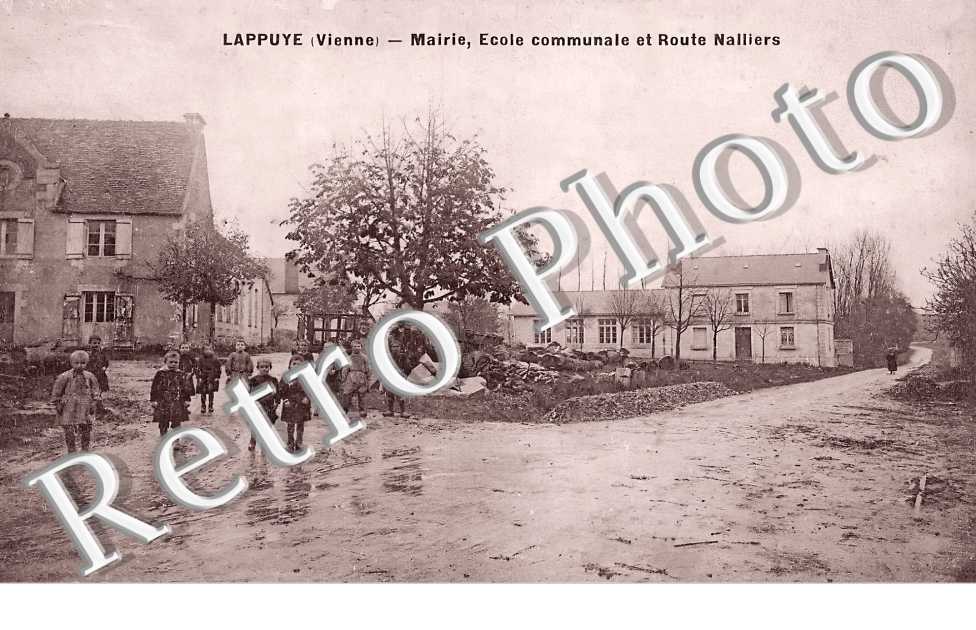 mairie, ecole et route Nalliers