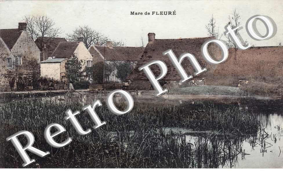 Mare de Fleuré
