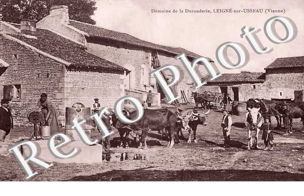 Domaine de la Duranderie