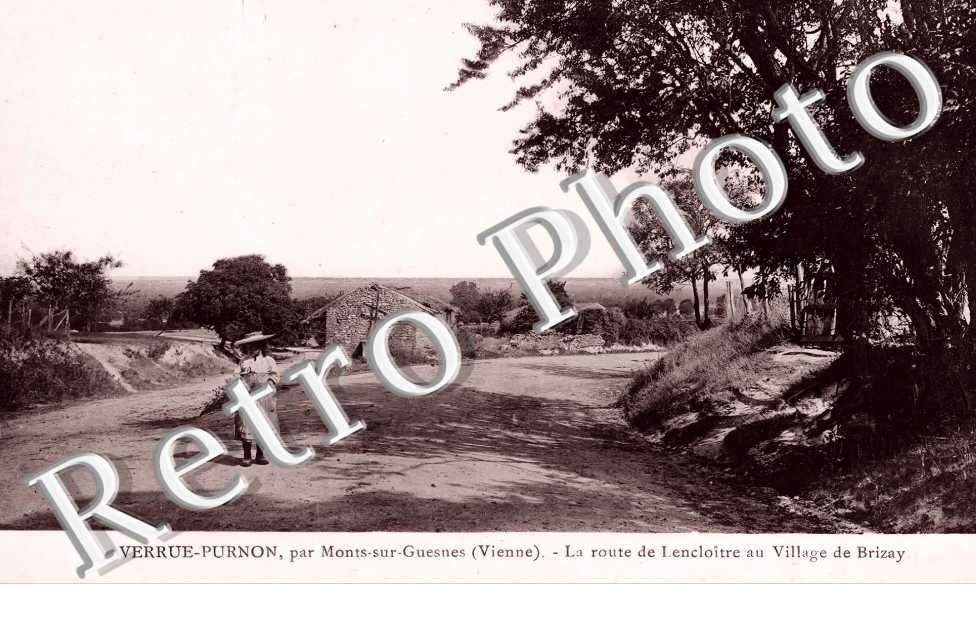 Verrue-Purnon. La route de Lencloître au village de Brizay