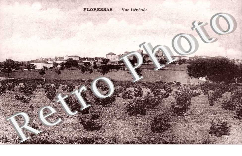 vue générale