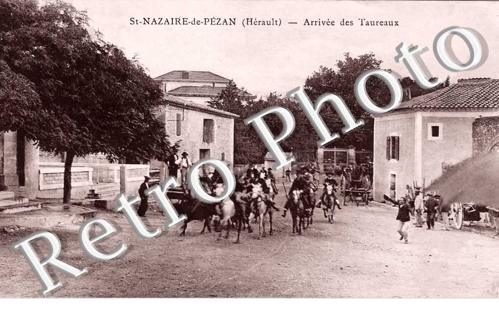 arrivée des Taureaux