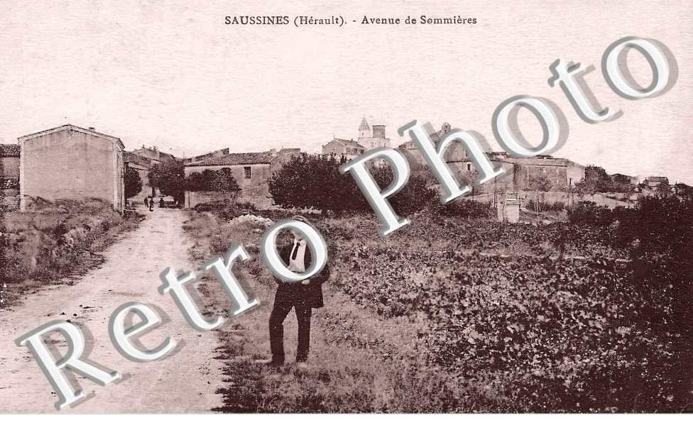 avenue de Sommières