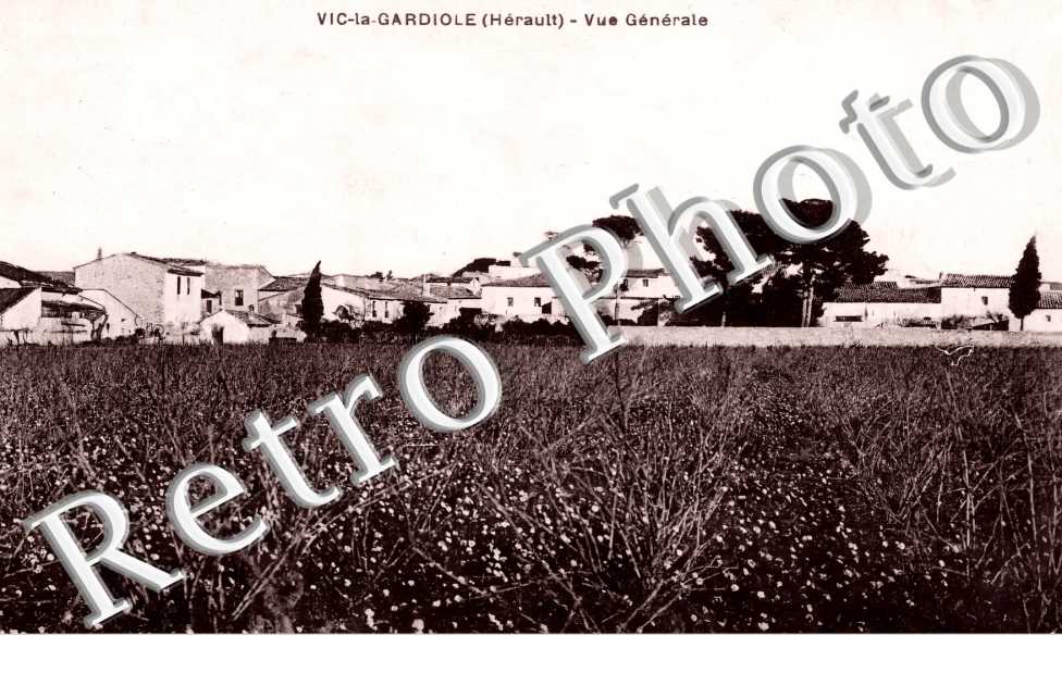vue générale