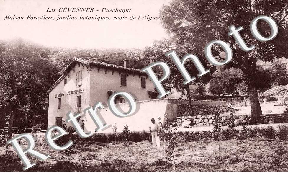 Puechagut. Maison forestière, jardins botaniques, route de l&#039;Aigoual